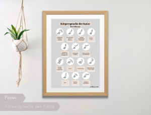 Auf dem Katzenposter "Die Körpersprache der Katze" sind alle möglichen Schwanzstellungen einer Katze abgebildet. 🐈